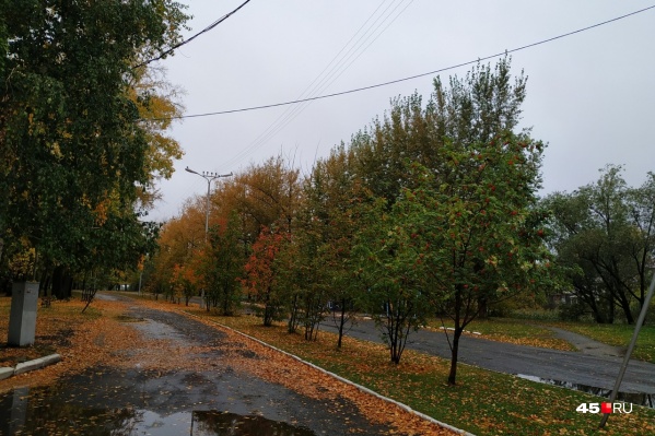 После недели дождей сентябрь порадует курганцев теплой и сухой погодой После недели дождей сентябрь порадует курганцев теплой и сухой погодой