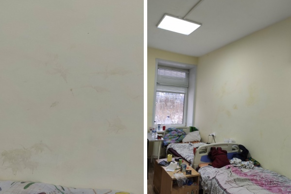 Дети обкидали стены палат яблоками Дети обкидали стены палат яблоками