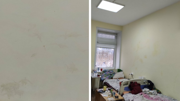 «Целенаправленно портят стены»: в Ярославле врачи детской больницы пожаловались на пациентов