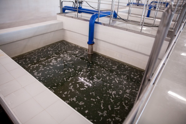 Выясняем, как в воду попадают загрязнители Выясняем, как в воду попадают загрязнители