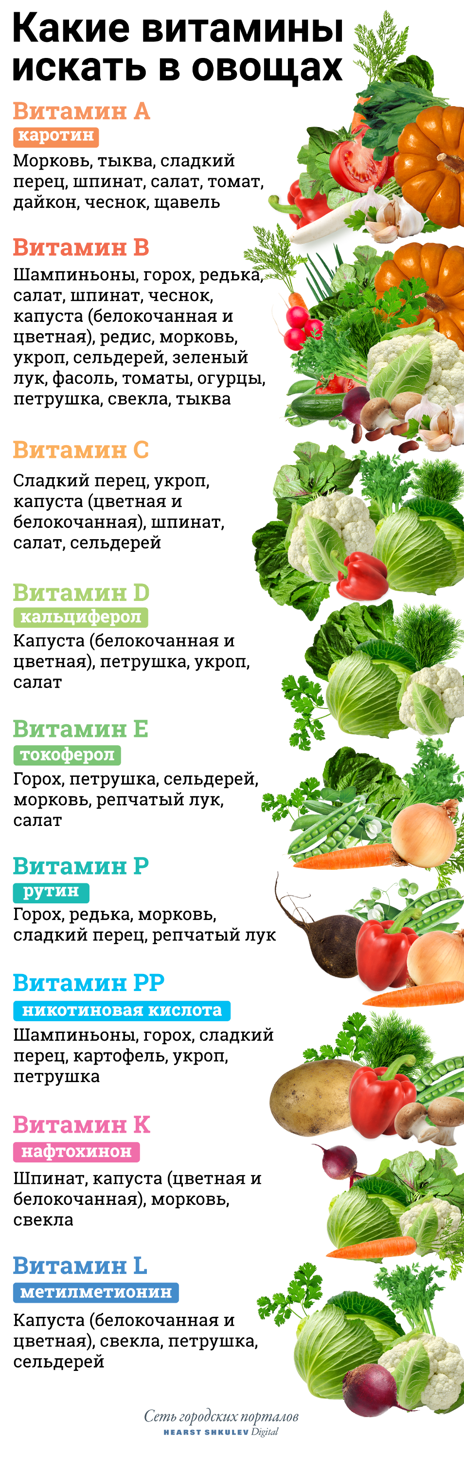 А теперь ищите любимые продукты в нашей витаминной таблице А теперь ищите любимые продукты в нашей витаминной таблице