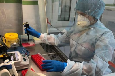 Новые тесты позволяют быстрее проводить анализ Новые тесты позволяют быстрее проводить анализ