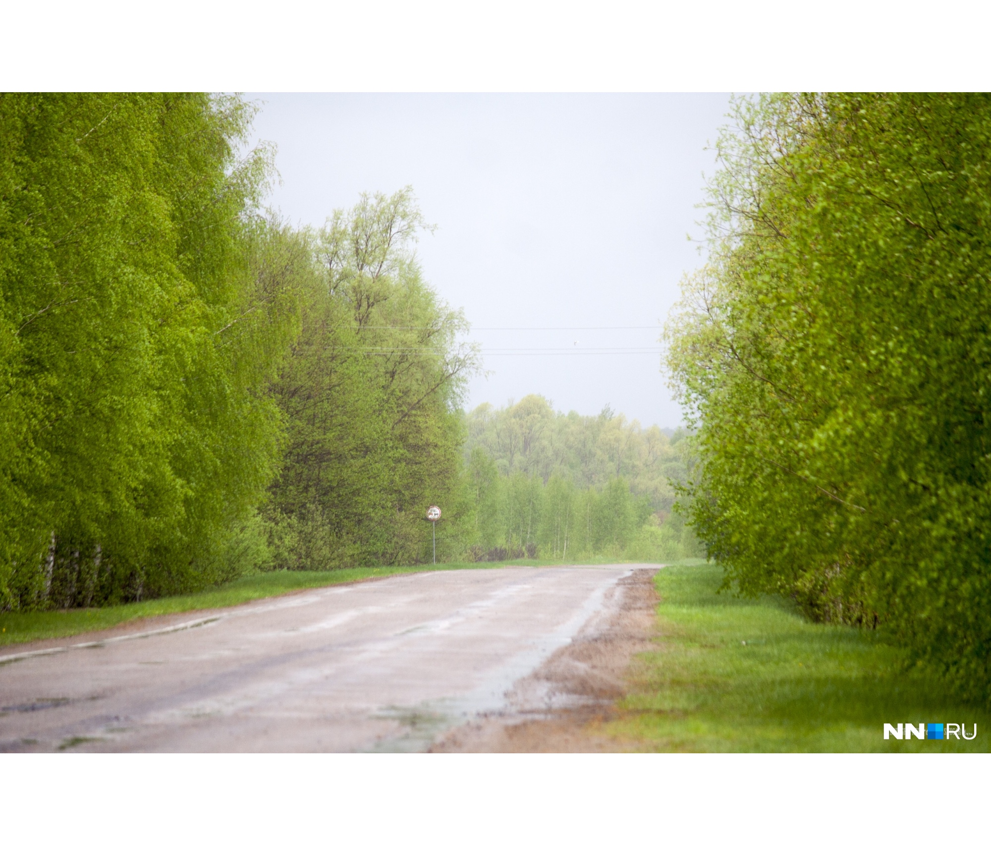 Безлюдные марийские дороги Безлюдные марийские дороги