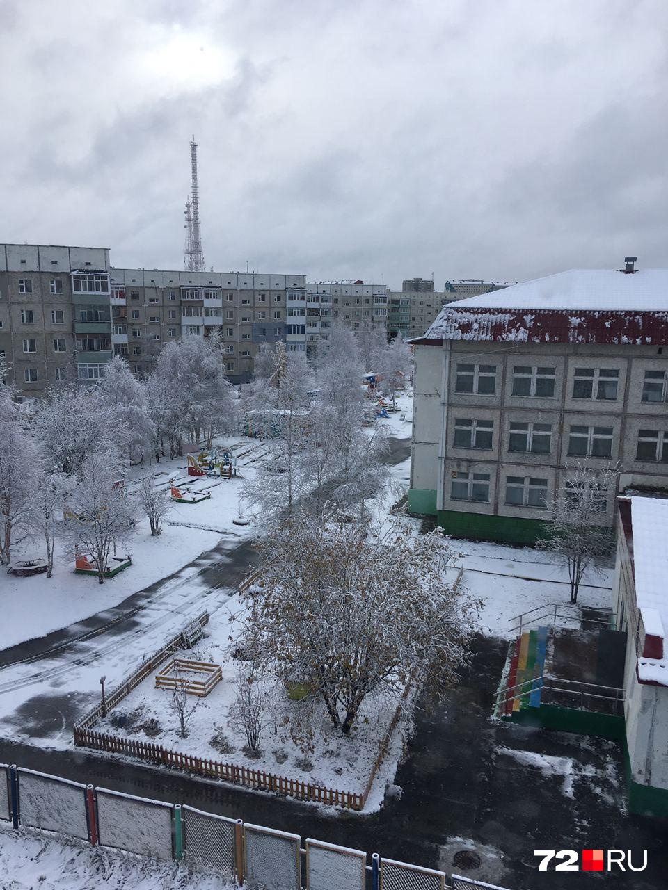 Кстати, 3 октября в Ноябрьске выпал снег Кстати, 3 октября в Ноябрьске выпал снег