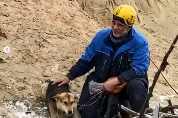 Волонтеры дежурили у оврага всю ночь, а в светлое время решили спуститься к собаке Волонтеры дежурили у оврага всю ночь, а в светлое время решили спуститься к собаке 