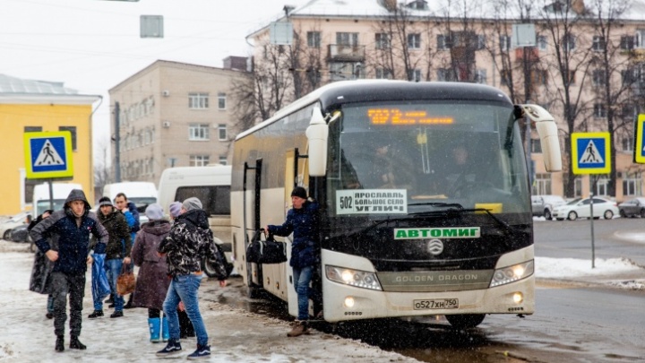 Для ярославцев открыли прямую линию по работе транспорта: куда можно жаловаться