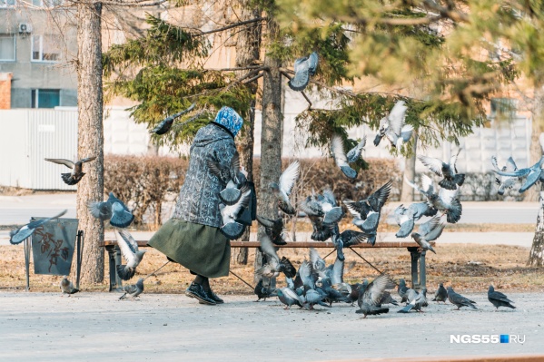 Теперь пожилые люди не смогут выйти на улицу без определенной цели Теперь пожилые люди не смогут выйти на улицу без определенной цели