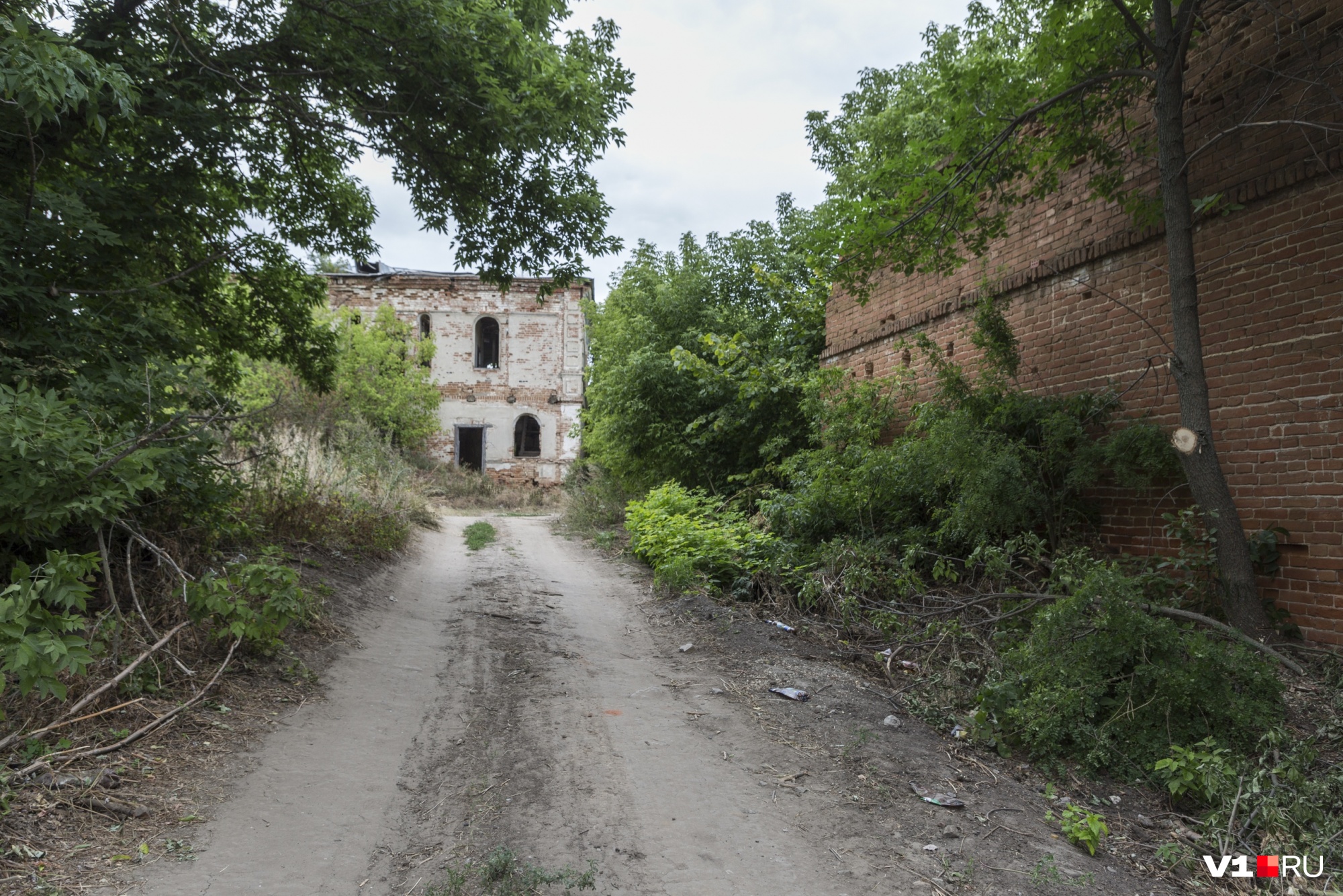 Погода в орехово даниловский. Село Орехово Волгоградская область.