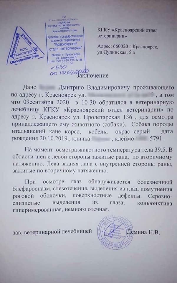 Дмитрий отвёл собаку к ветеринару. Врачи выявили серьезные проблемы с глазами Дмитрий отвёл собаку к ветеринару. Врачи выявили серьезные проблемы с глазами