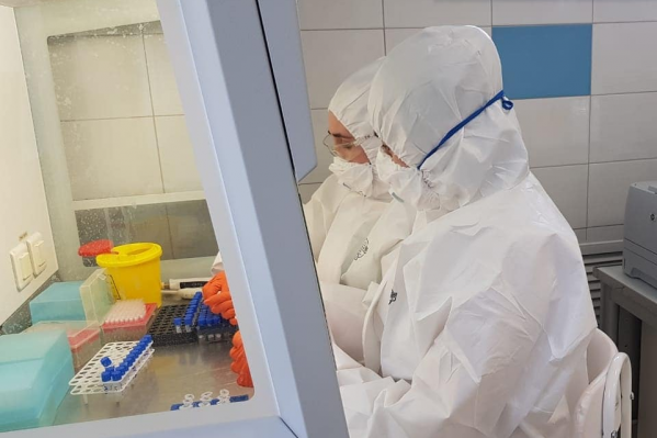 Количество смертей растет Количество смертей растет