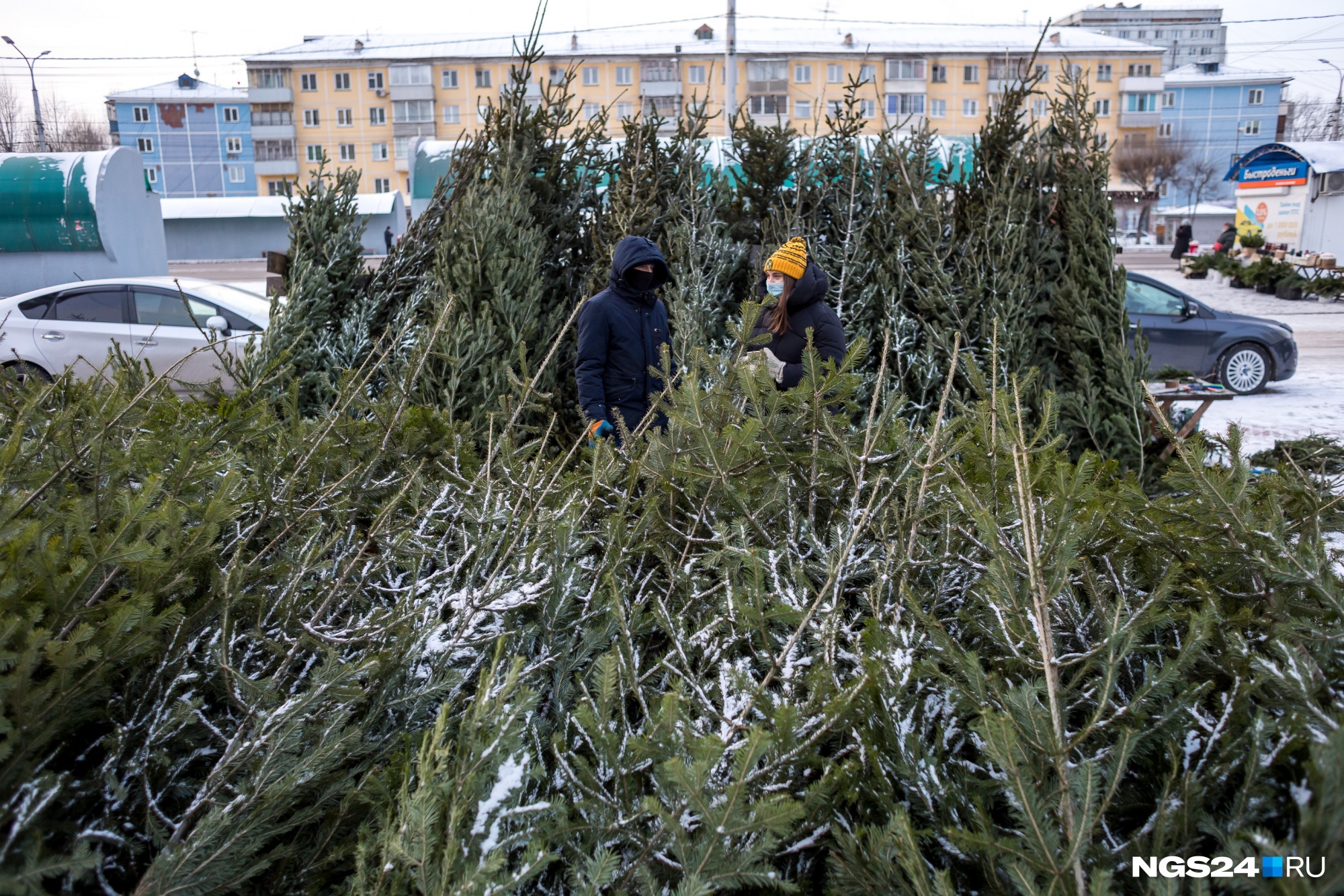 Продавцы по ночам дежурят по периметру елочного базара Продавцы по ночам дежурят по периметру елочного базара