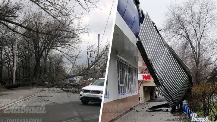 Сломанные деревья и сорванные крыши: в Ростове резко усилился ветер