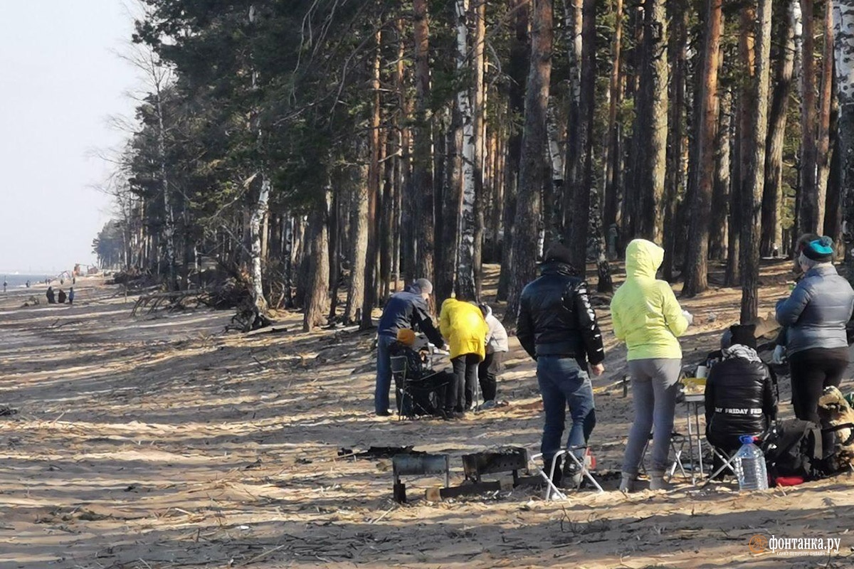 Побережье Финского залива в районе Большой Ижоры