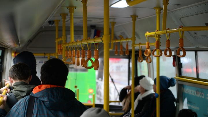 В Екатеринбурге устроят облаву на водителей автобусов. Будут искать мигрантов-нелегалов