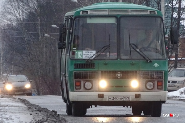 Пока непонятно, на каких маршрутах автобусы будут ходить, но примерно известен список марок. Это ПАЗ (на фото), МАЗ и Lotos Пока непонятно, на каких маршрутах автобусы будут ходить, но примерно известен список марок. Это ПАЗ (на фото), МАЗ и Lotos