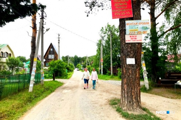 Стрельба произошла в конце Светлой улицы в СНТ «Изумруд» Стрельба произошла в конце Светлой улицы в СНТ «Изумруд»