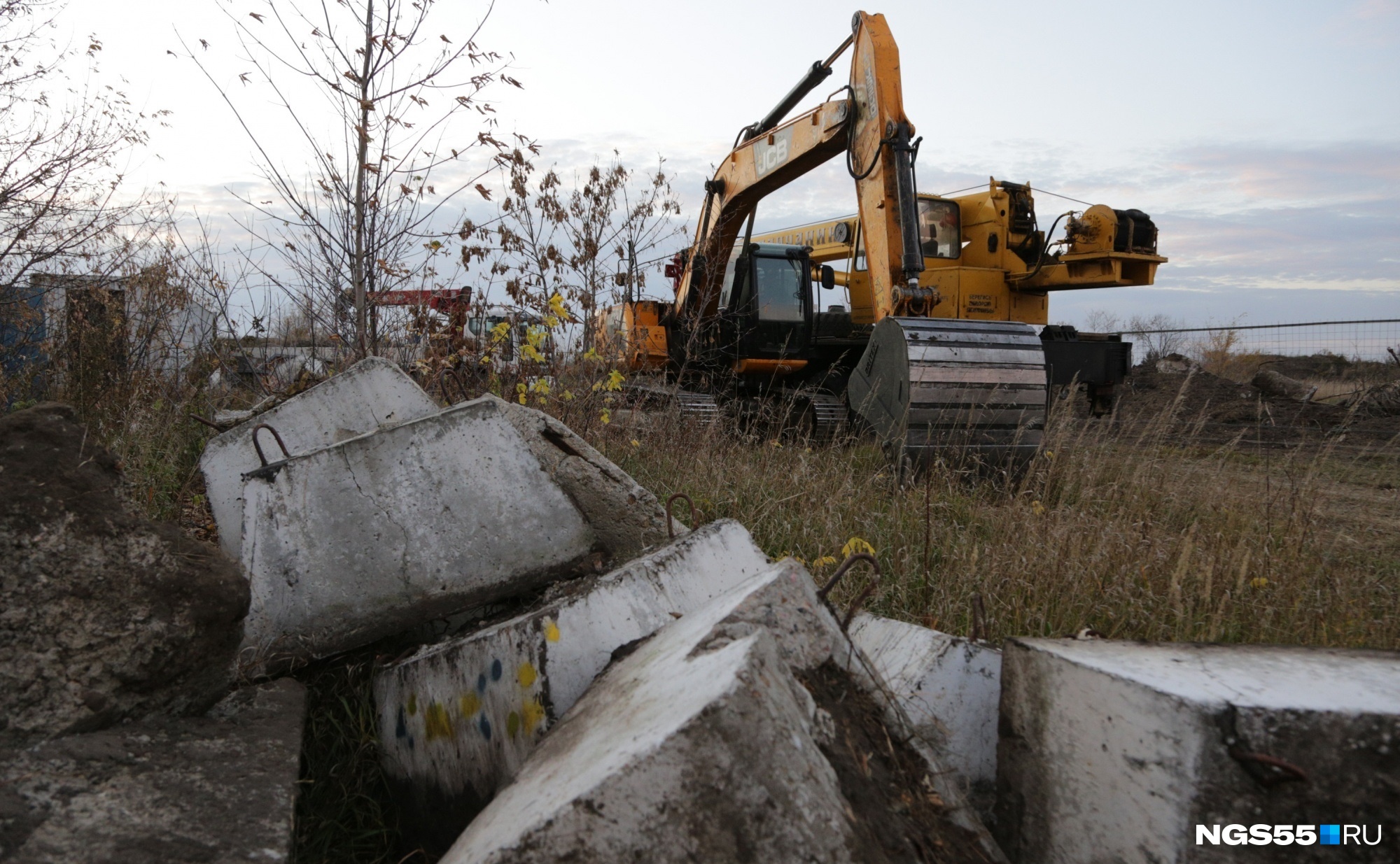 Из-за строительства нового омского кадетского корпуса срубят 550 деревьев