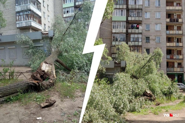 К счастью, в результате инцидента пострадавших нет К счастью, в результате инцидента пострадавших нет