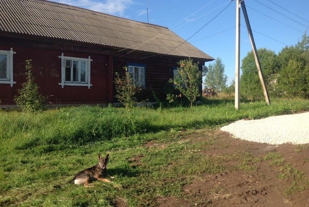 Нижегородский СК начал проверку из-за отказа коммунальщиков проложить дорогу к дому бабушки-ветерана