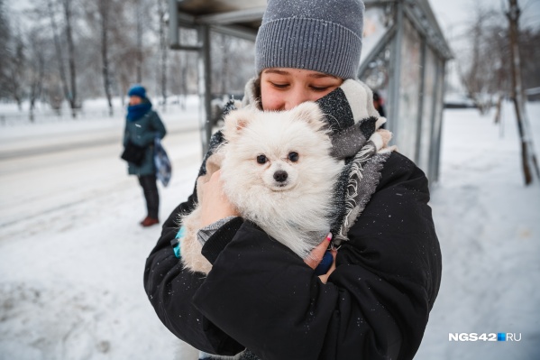 Неделя будет достаточно теплой, но снежной Неделя будет достаточно теплой, но снежной