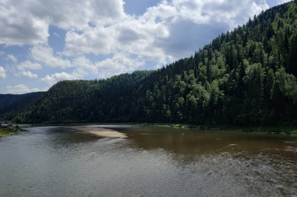 Из-за работы золотодобытчиков вода в реках становится жёлтой и мутной Из-за работы золотодобытчиков вода в реках становится жёлтой и мутной