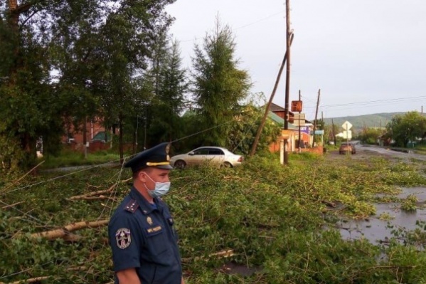 В Курагино повалило много деревьев, не обошлось без обрыва линий электропередач В Курагино повалило много деревьев, не обошлось без обрыва линий электропередач