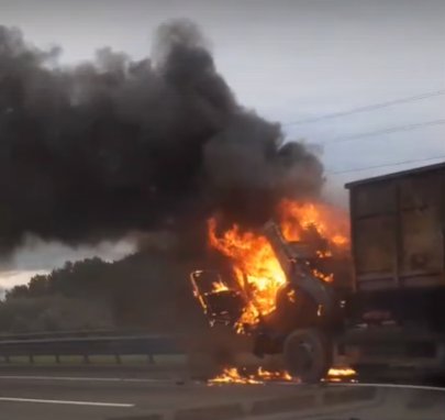 Кадр из видео в <a href="https://vk.com/spb_today" class="_">vk.com/spb_today</a>