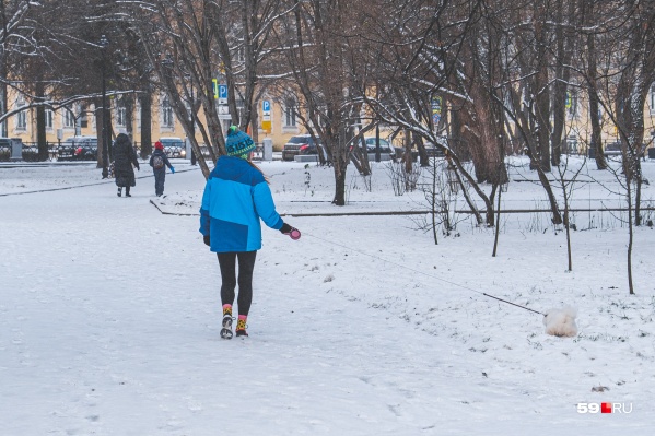 Днем температура будет около <nobr class="_">-15 °С</nobr> Днем температура будет около <nobr class="_">-15 °С</nobr>