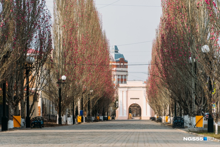Вспомните, какая многолюдная по праздникам Спартаковская улица, а затем посмотрите сюда Вспомните, какая многолюдная по праздникам Спартаковская улица, а затем посмотрите сюда