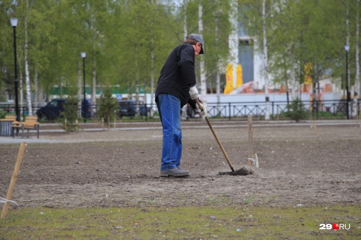 Жителей Архангельска призывают выбрать те территории, которые они хотят благоустроить