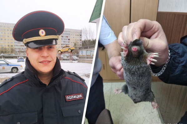 Алексей Семиков и спасенный им крот Алексей Семиков и спасенный им крот