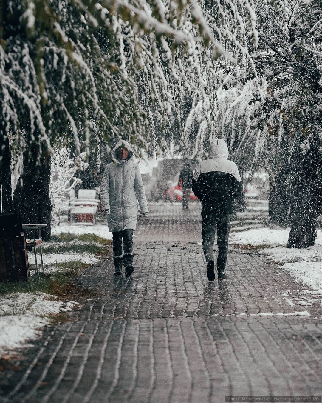 По прогнозу, снег в Красноярске прекратится только к обеду