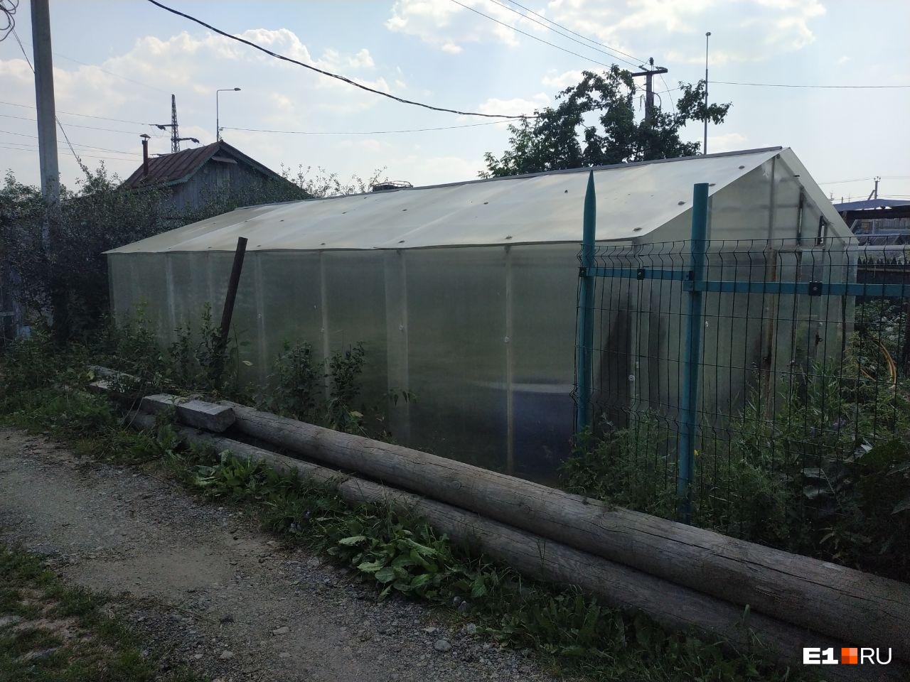 Недавно на участке женщины установили новую теплицу Недавно на участке женщины установили новую теплицу