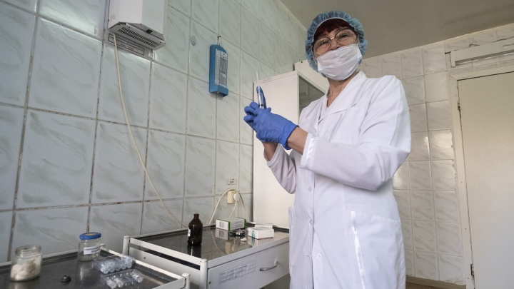В Новосибирской области остановили вакцинацию от клещевого энцефалита