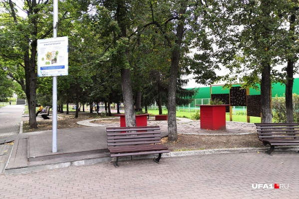 На площадке тишина — корреспондент не увидел там ни одного отдыхающего На площадке тишина — корреспондент не увидел там ни одного отдыхающего