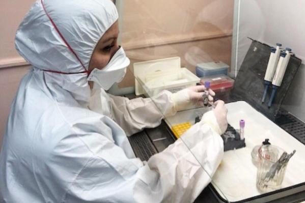 Предварительные анализы семьи сотрудницы прокуратуры выявили коронавирус, и пробы отправили на перепроверку в Новосибирск Предварительные анализы семьи сотрудницы прокуратуры выявили коронавирус, и пробы отправили на перепроверку в Новосибирск