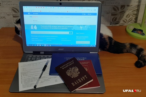 Даже котику стало скучно от передряг с оформлением бумажек Даже котику стало скучно от передряг с оформлением бумажек