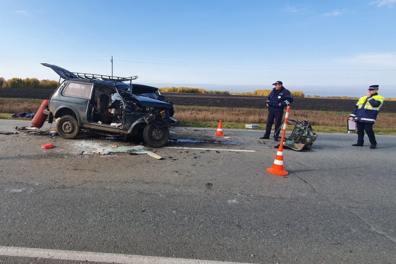 Водитель «Нивы» пытался уйти от столкновения на трассе под Заводоуковском и погиб