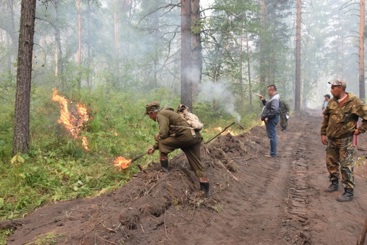 Леса в Башкирии горят несколько дней