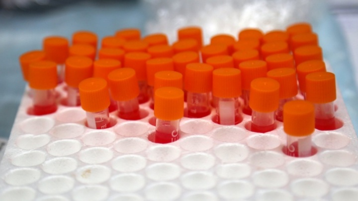 В Башкирии пройдут финальные исследования экспериментального препарата против коронавируса