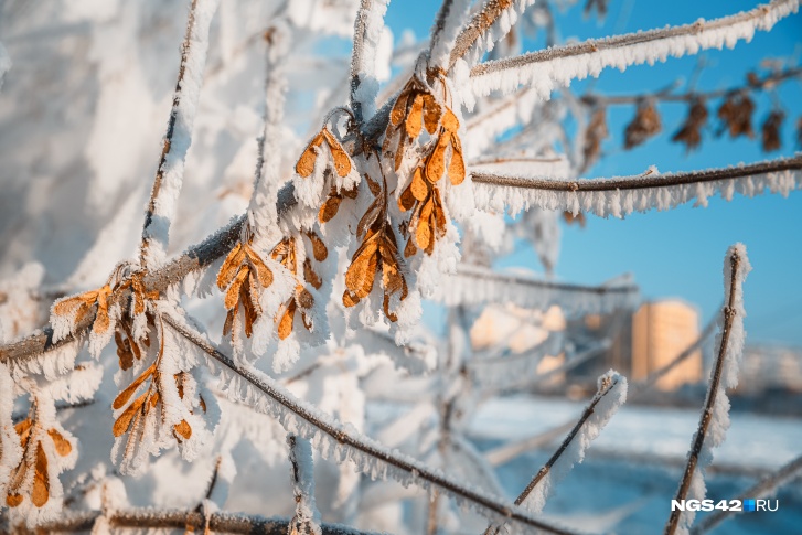 Морозы останутся в Кузбассе еще как минимум на три дня