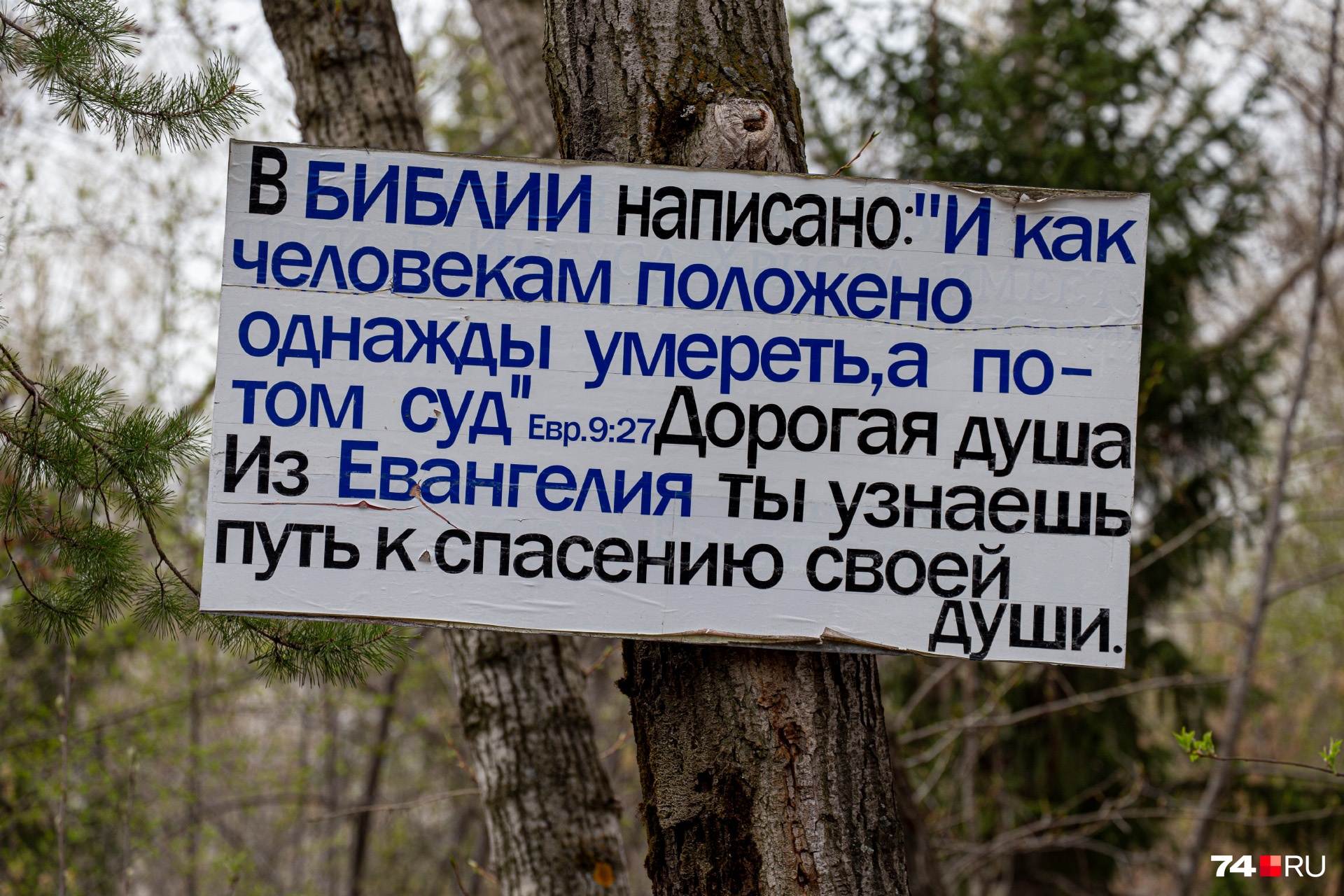 А те, кто сегодня пришёл к умершим родственникам, тоже спасают души? А те, кто сегодня пришёл к умершим родственникам, тоже спасают души?