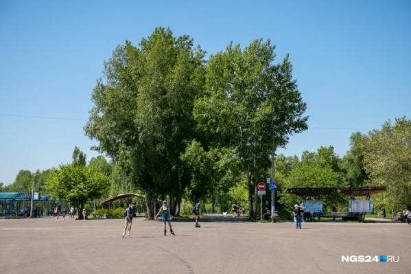 Солнечные дни на следующей неделе будут чередоваться с пасмурными Солнечные дни на следующей неделе будут чередоваться с пасмурными