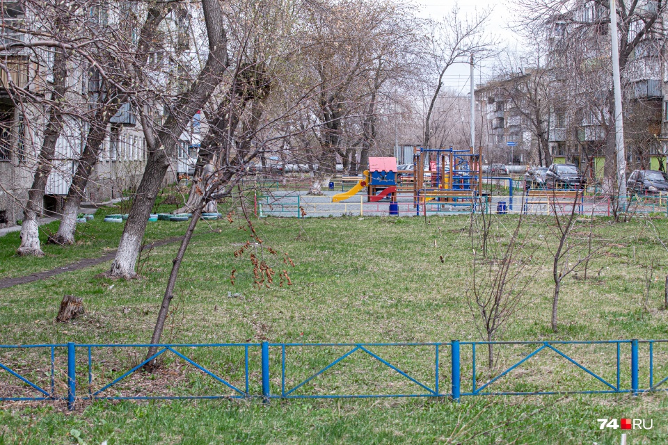 Где-то деревья, наоборот, подсадили Где-то деревья, наоборот, подсадили