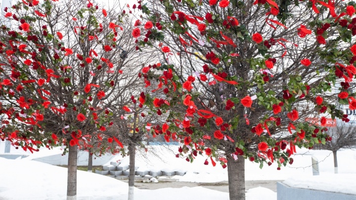 На деревьях Уфы «зацвели» розы в поддержку трансгендера на шоу «Холостяк»