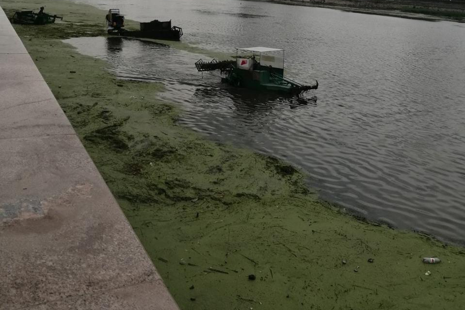 Власти объявили о начале очистки реки Миасс около ТРК «Родник»