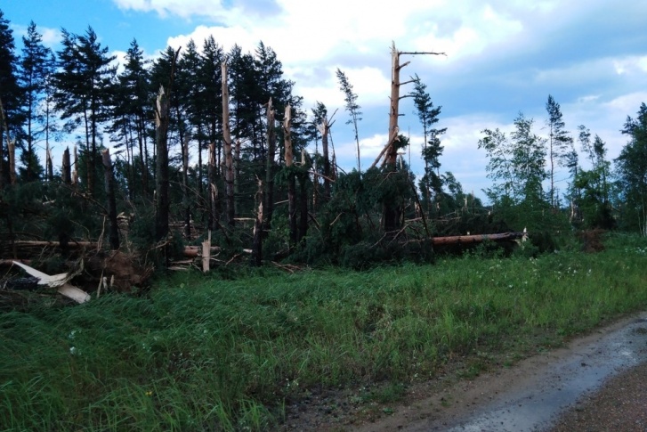 В Ярославской области сильный ветер застал врасплох местных жителей
