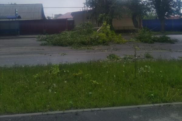Горожане в соцсетях выкладывают последствия сильного ветра. Одним из таких последствий стало падение дерева на высоковольтную линию в Северном Горожане в соцсетях выкладывают последствия сильного ветра. Одним из таких последствий стало падение дерева на высоковольтную линию в Северном
