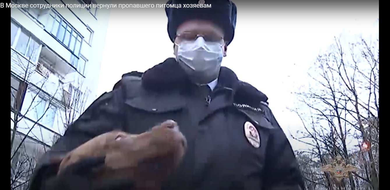 Кадр из видео на YouTube-канале <a class="yt-simple-endpoint style-scope yt-formatted-string _" spellcheck="false" href="https://www.youtube.com/channel/UCftjoMzszX3kS_EaEun9TJA" dir="auto">МВД МЕДИА</a>