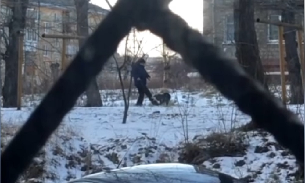 В Нижнем Тагиле сняли на видео, как хозяин избивает свою собаку во время прогулки